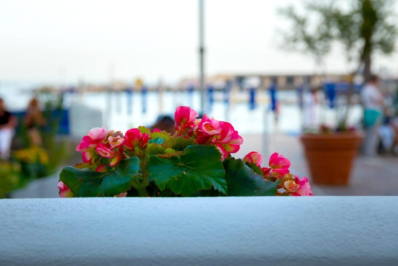 צ'טארה Marinella Casa Vacanze מראה חיצוני תמונה